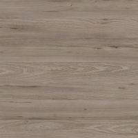 Manhattan Elm