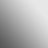 Rectangle Chrome Matte Plate & Chrome Gloss Trim